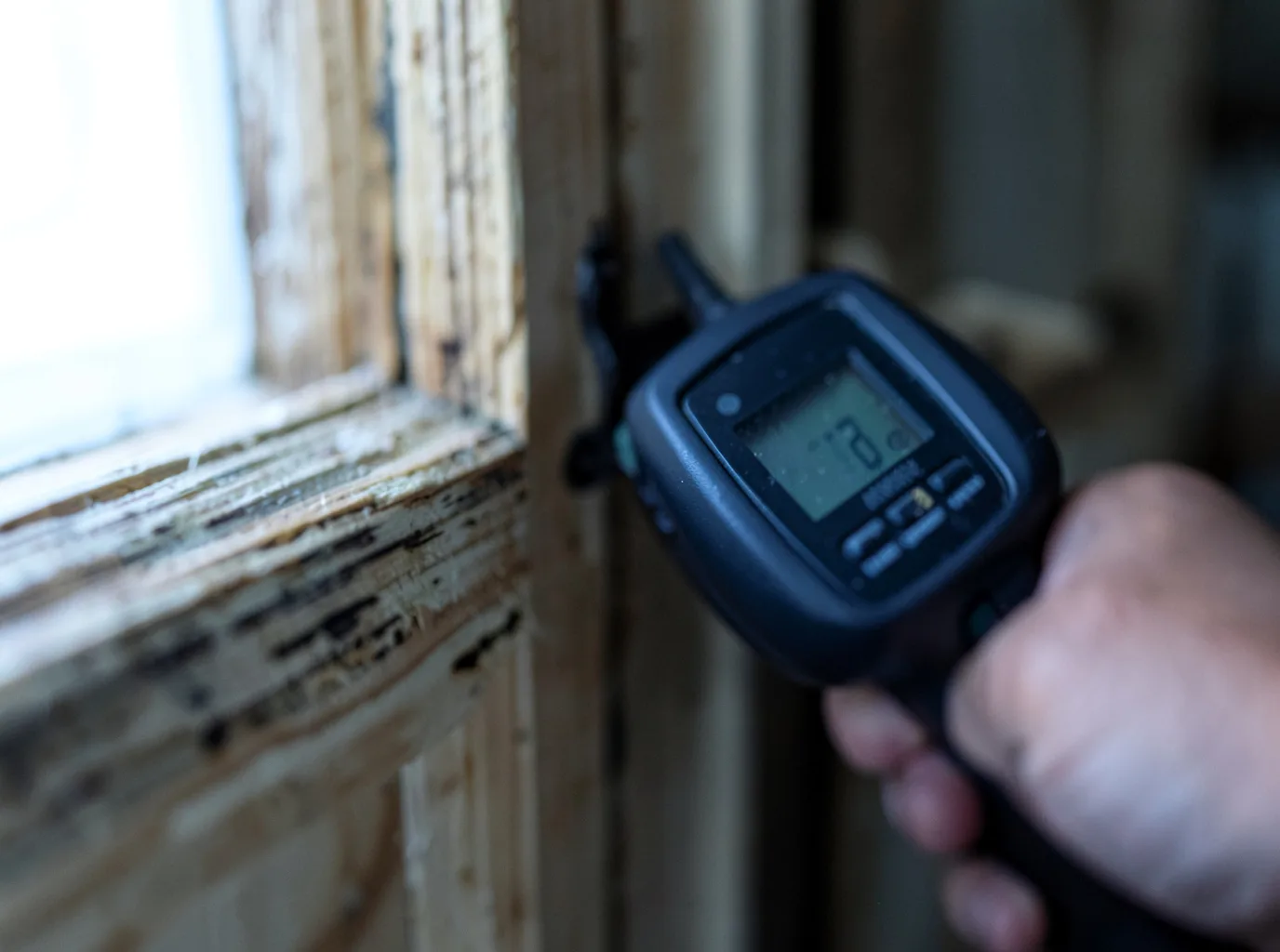 Moisture Inspection And Documentation in Rocky Gap, VA